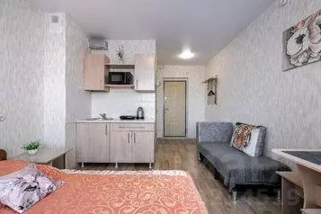 1-к кв. Новосибирская область, Новосибирск ул. Титова, 257 (24.0 м) - Фото 0