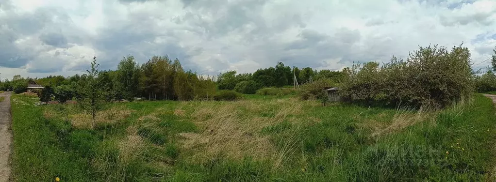 Участок в Псковская область, Великолукский район, Переслегинская ... - Фото 0