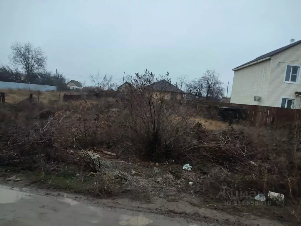 Участок в Волгоградская область, Волгоград Дзержинец СНТ, ... - Фото 1