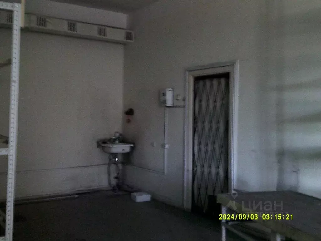 Помещение свободного назначения в Новосибирская область, Новосибирск ... - Фото 2