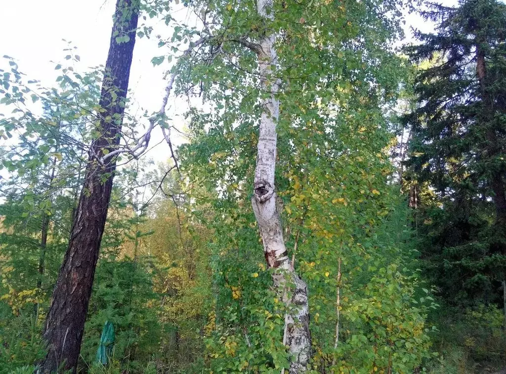 Участок в Улан-Удэ, улица Санаторный Детский Дом, 17 (4 м) - Фото 0
