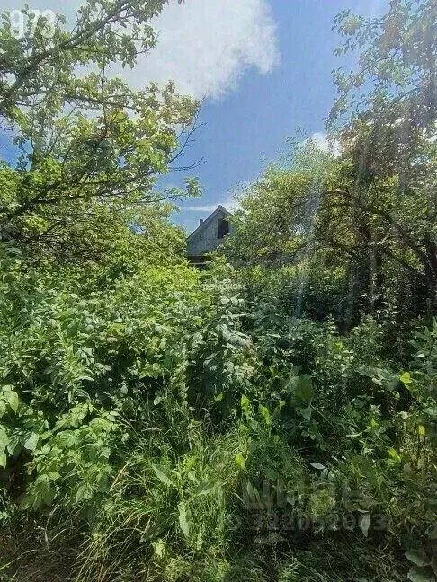 Участок в Свердловская область, Нижний Тагил ул. Шмидта (6.2 сот.) - Фото 2