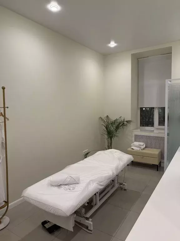 Помещение свободного назначения в Москва Покровский бул., 8С1 (16 м) - Фото 1