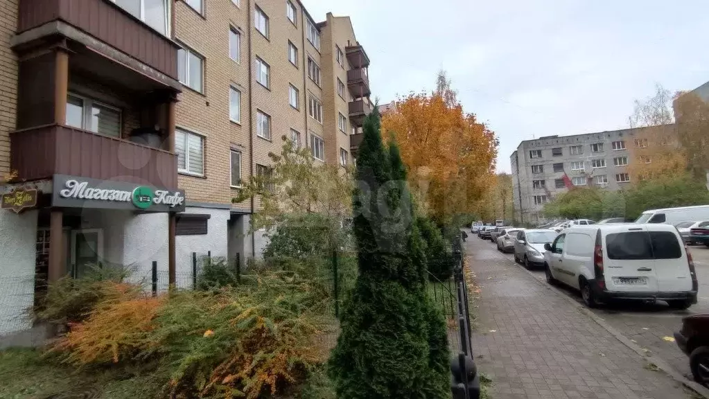 Сдам помещение свободного назначения, 25 м - Фото 1