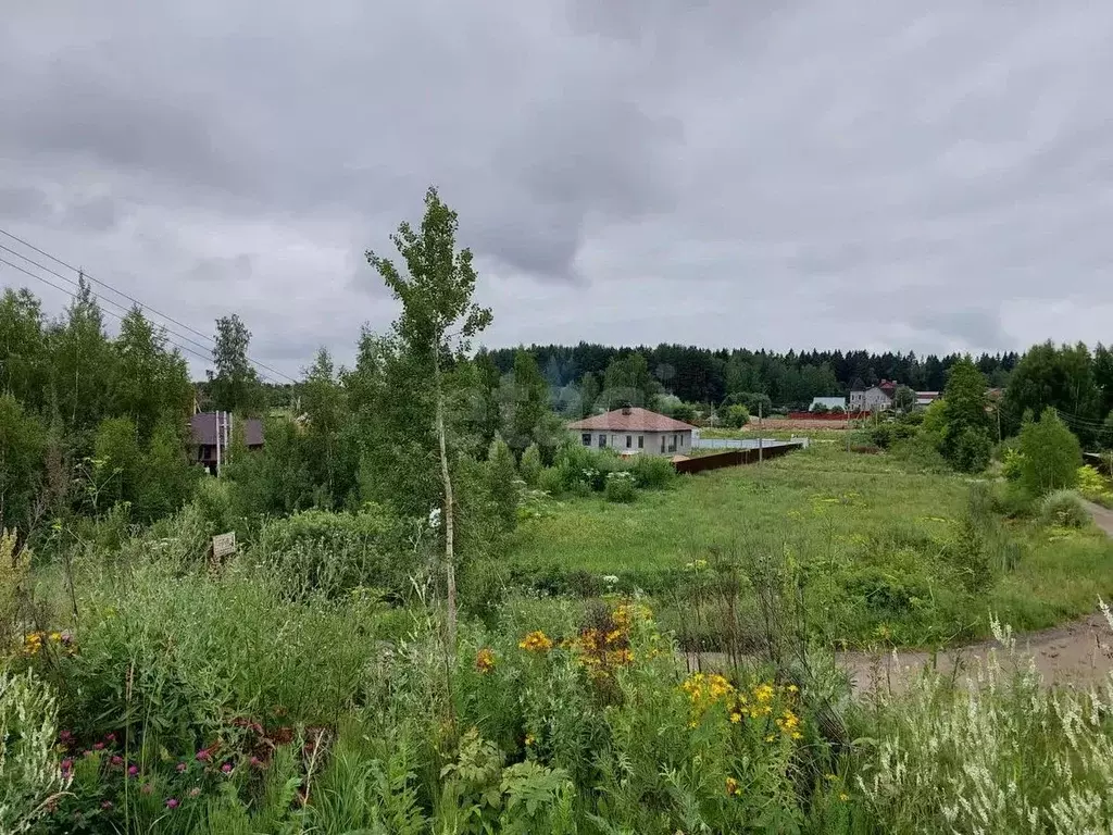 Участок в Московская область, Дмитровский городской округ, с. ... - Фото 0