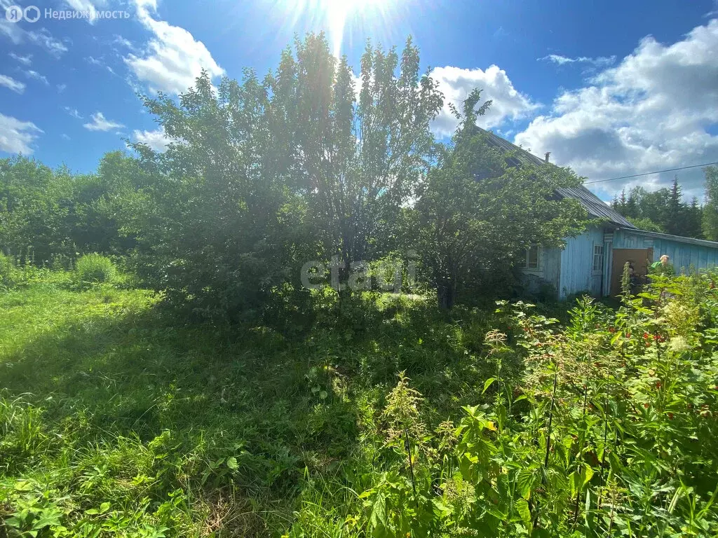 Дом в Завьяловский район, СДТ Теплоэнергетик (15 м) - Фото 1