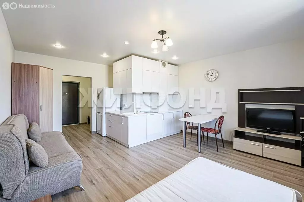 1-комнатная квартира: Новосибирск, улица Писарева, 125 (28.4 м) - Фото 0