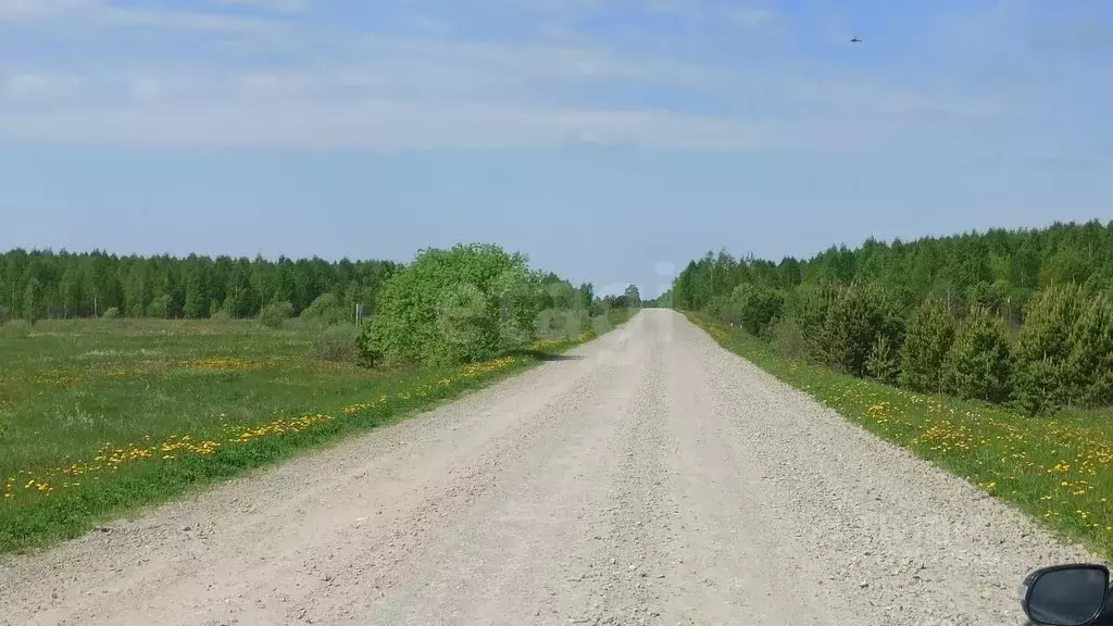 Участок в Тюменская область, Нижнетавдинский муниципальный округ, с. ... - Фото 2