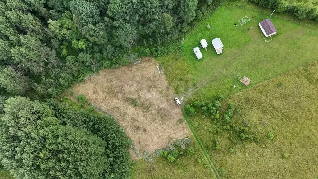 Участок в Вологодская область, Малинки кп  (21.97 сот.) - Фото 2