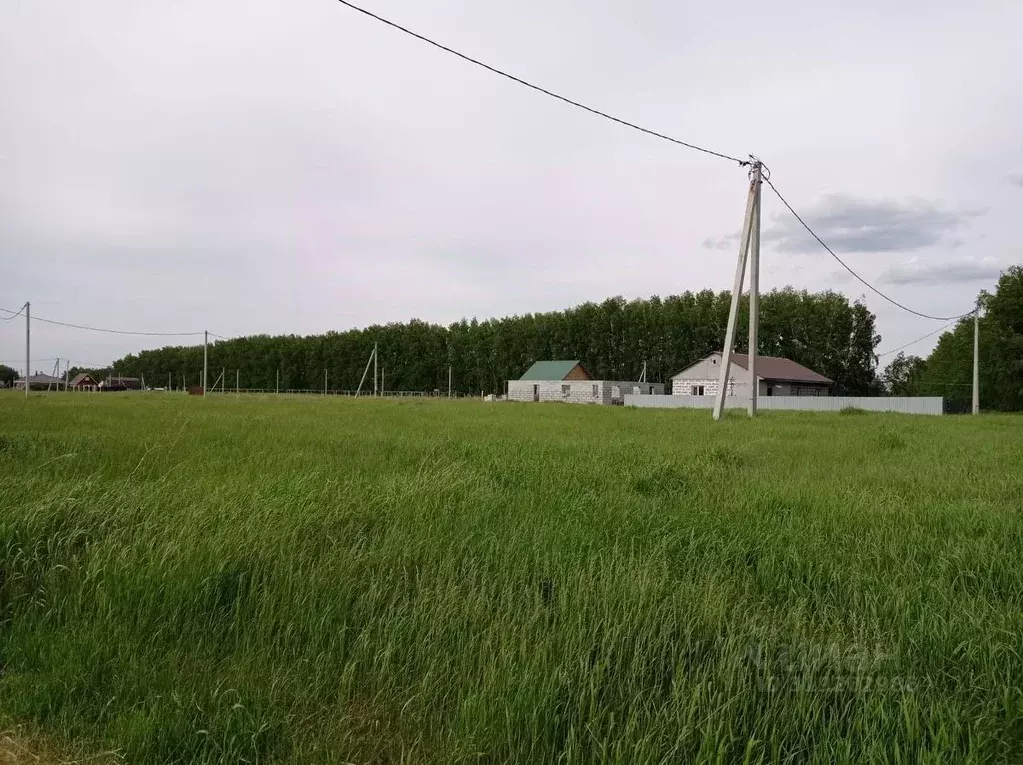 Участок в Омская область, Омский район, с. Усть-Заостровка  (5.0 сот.) - Фото 0