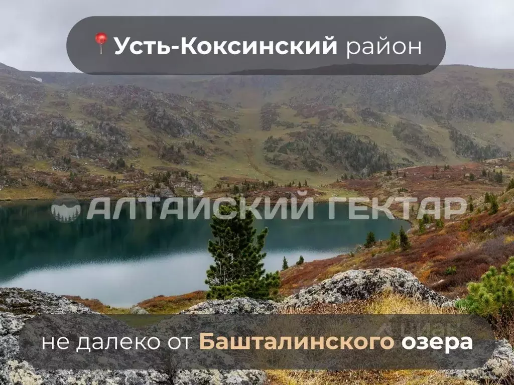 Участок в Алтай, Усть-Коксинский район, с. Усть-Кокса Советская ул. ... - Фото 1