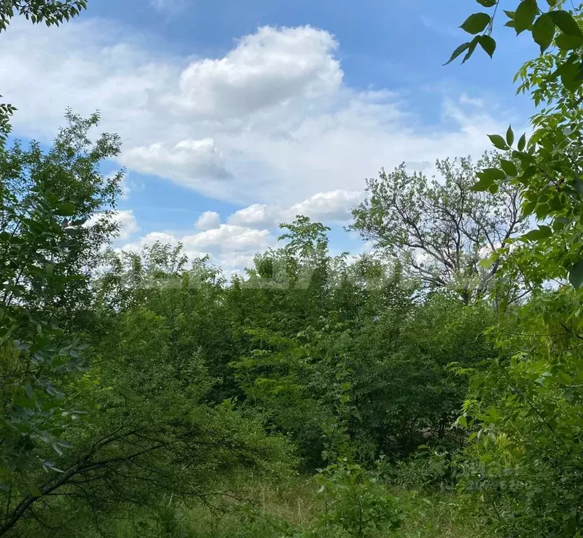 Дом в Ростовская область, Октябрьский район, пос. Персиановский, ... - Фото 2