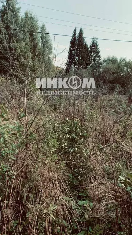 Дом в Московская область, Дмитровский муниципальный округ, д. Михалево ... - Фото 1