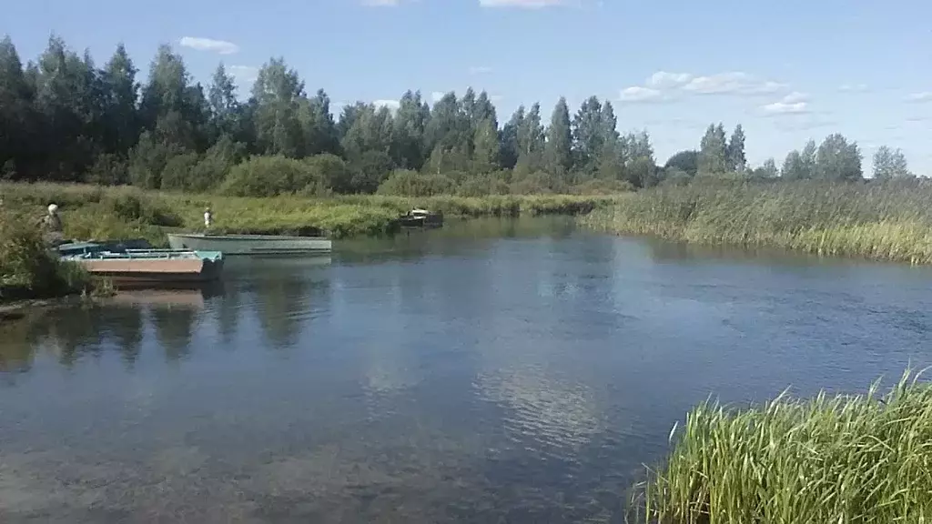 Участок в Ярославская область, Переславль-Залесский городской округ, ... - Фото 0