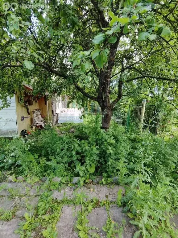 Дом в Рыбинск, улица Карла Маркса (50 м) - Фото 0