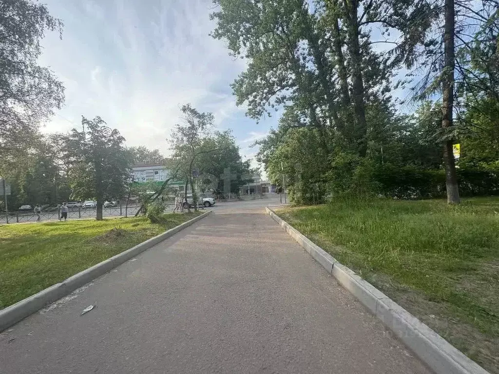 1-к кв. Московская область, Балашиха просп. Ленина, 56 (30.0 м) - Фото 1
