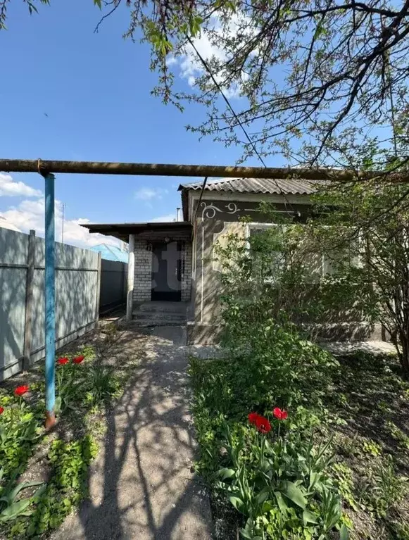 Дом в Белгородская область, Губкин Верхняя ул., 8 (37 м) - Фото 1