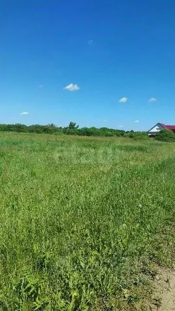 Участок в Тюменская область, Ярковский муниципальный округ, с. ... - Фото 1