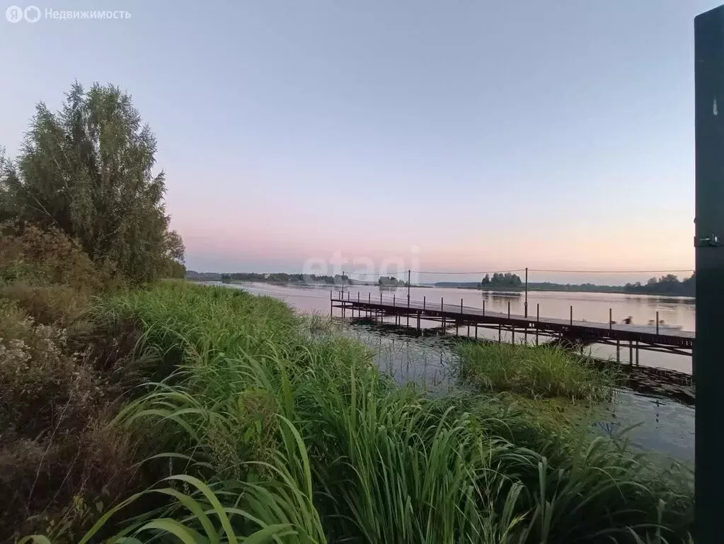 Участок в Красносельский район, Боровиковское сельское поселение, ... - Фото 0