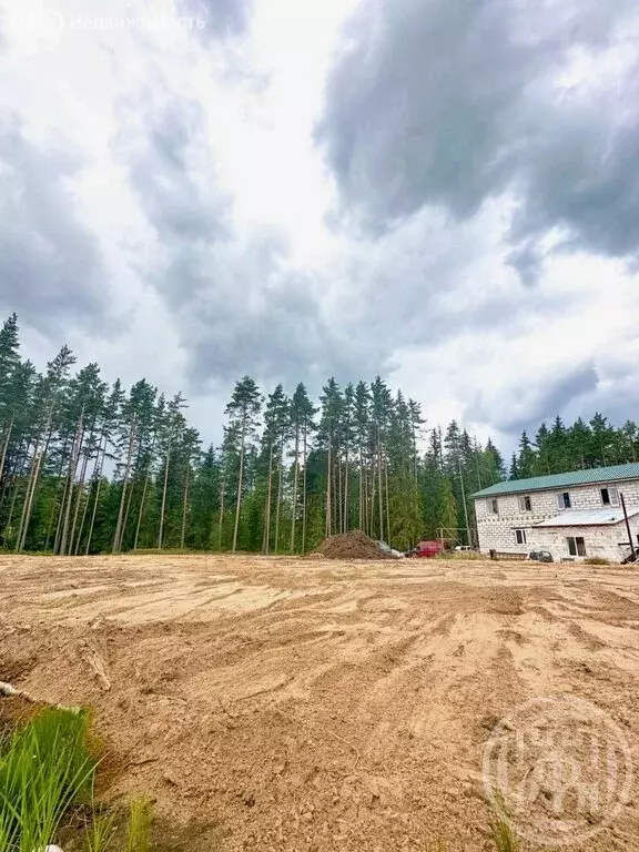 Участок в Лужский район, Заклинское сельское поселение, деревня ... - Фото 1