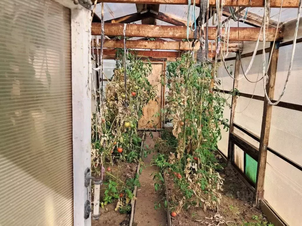 Дом в Волгоградская область, Волжский Энергетик СНТ, ул. 5-я (70 м) - Фото 1