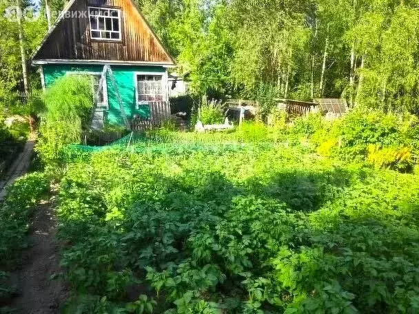 Дом в Сыктывкар, территория Дырносский, СНТ Берёзка (30 м) - Фото 1