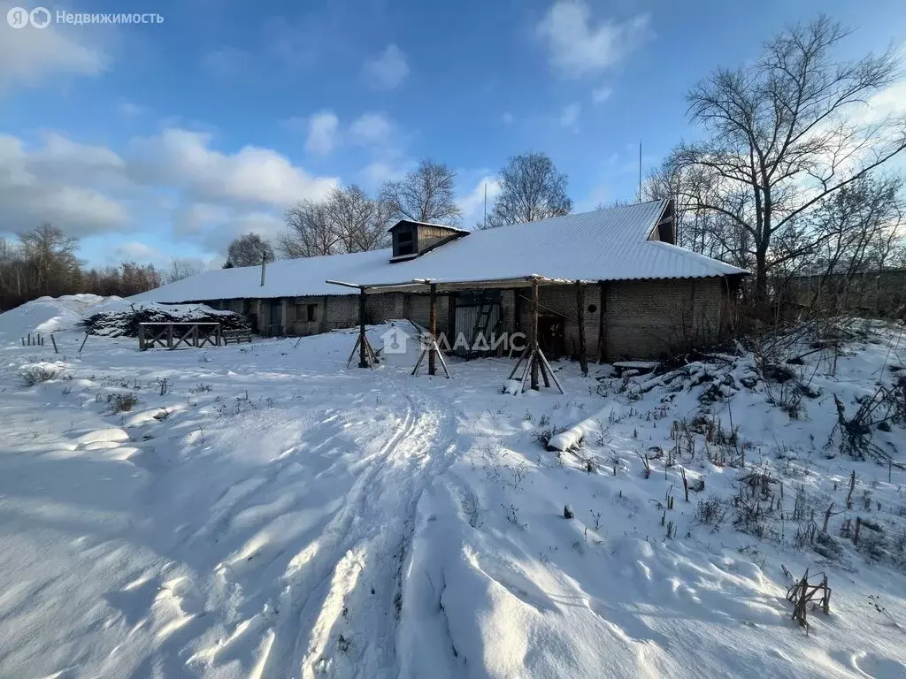 Производственное помещение (1189.2 м) - Фото 1