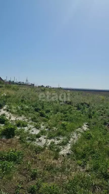 Участок в Ростовская область, Аксайский район, Большой Лог хут.  (5.5 ... - Фото 1