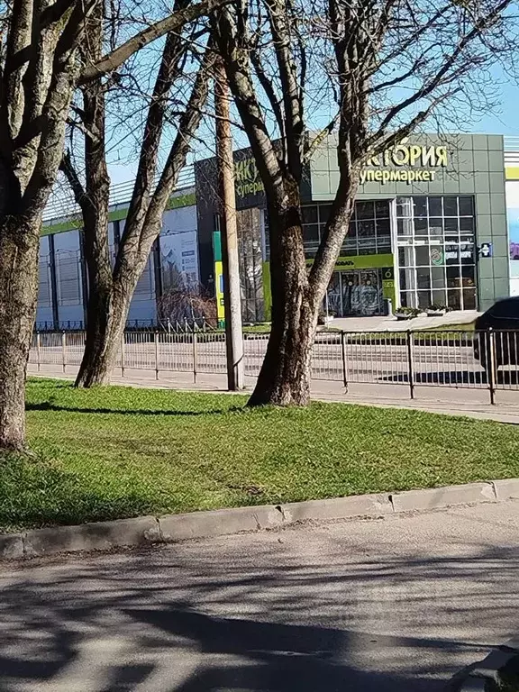 Комната Калининградская область, Калининград Красная ул., 125 (16.3 м) - Фото 1