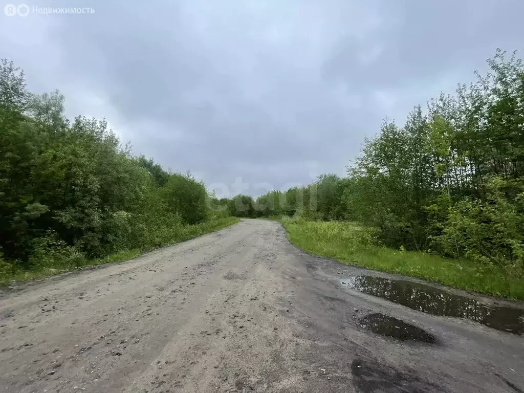 Участок в Архангельская область, Приморский муниципальный округ, ... - Фото 1