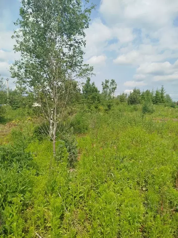 Участок в Московская область, Клин городской округ, д. Ситники  (23.96 ... - Фото 0