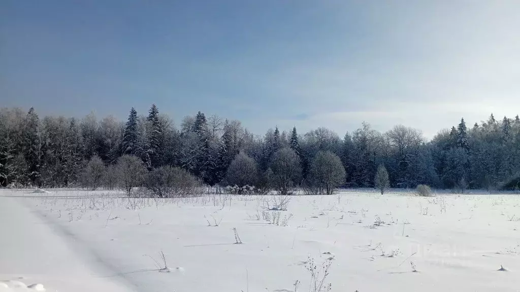 Участок в Московская область, Можайский муниципальный округ, д. ... - Фото 1