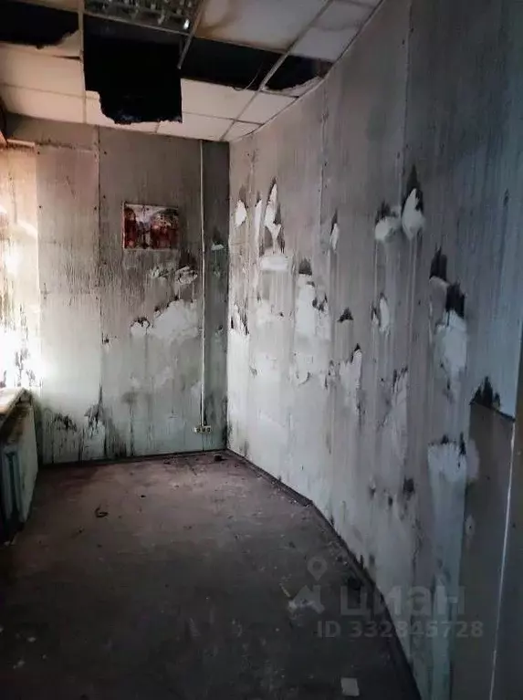 Офис в Санкт-Петербург Садовая ул., 28-30к41 (11 м) - Фото 2