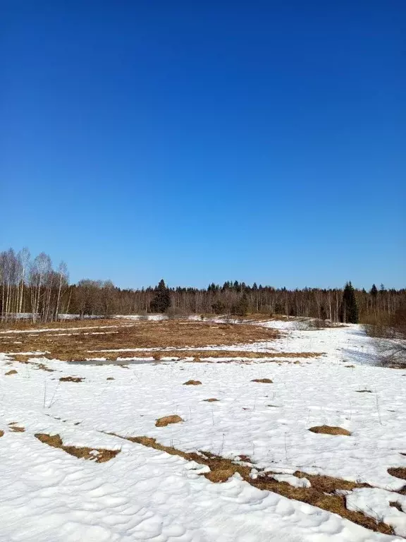 Участок в Новгородская область, Валдайский район, Ивантеевское с/пос, ... - Фото 2