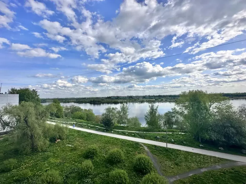 1-к кв. Псковская область, Псковский район, Писковичская волость, д. ... - Фото 1