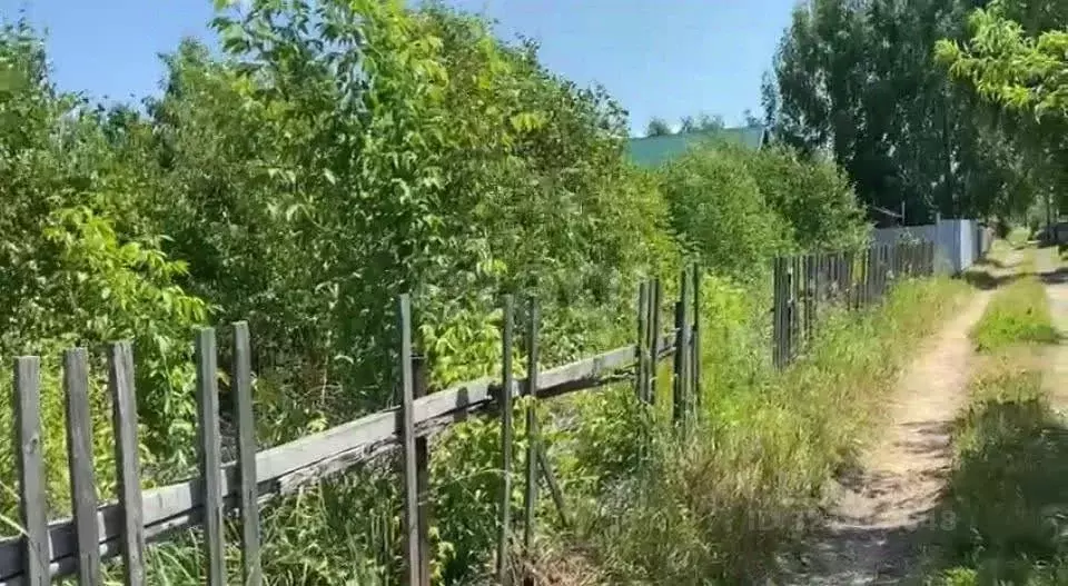Участок в Новосибирская область, Ордынское рп, Рябинка СНТ ул. ... - Фото 1