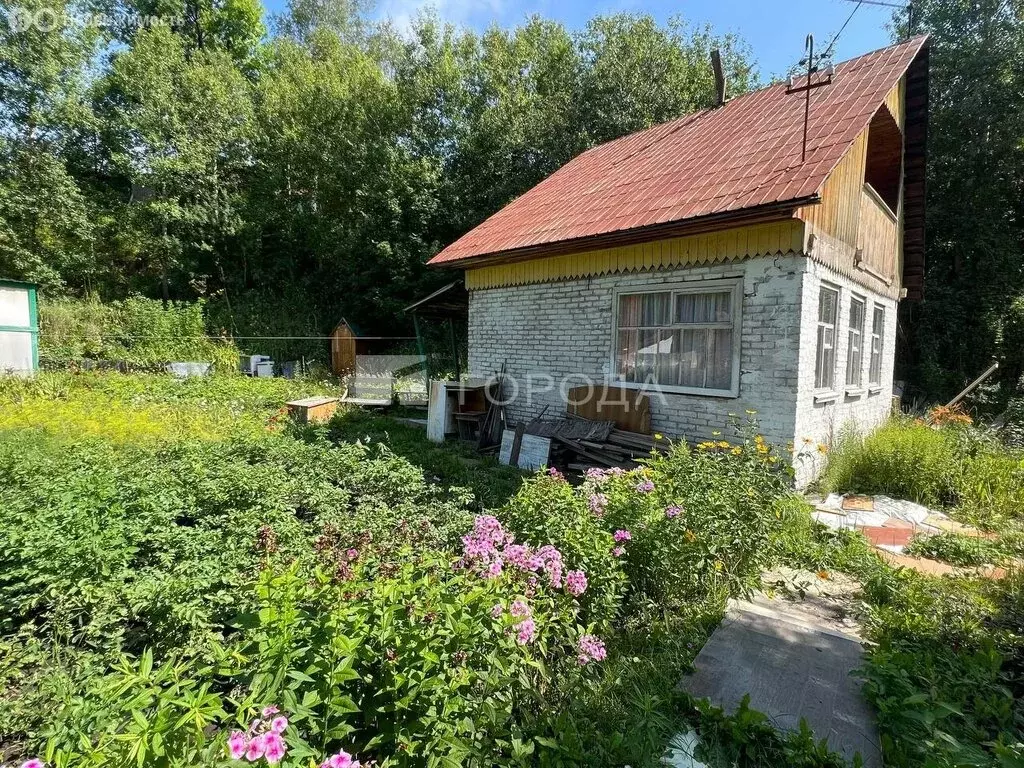 Дом в Тогучинский район, СТ Биолог, Береговая улица, 211 (45 м) - Фото 1