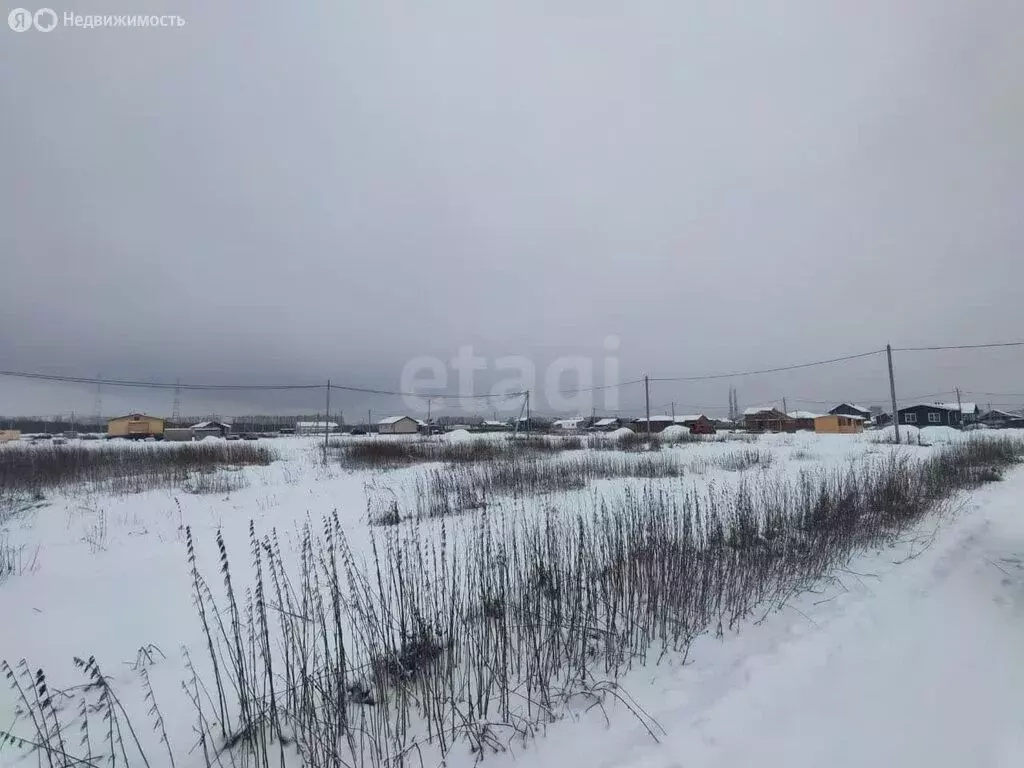 Участок в Архангельская область, Приморский муниципальный округ, ... - Фото 2