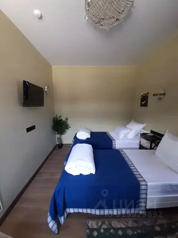 Комната Архангельская область, Архангельск ул. Попова, 3с2 - Фото 2