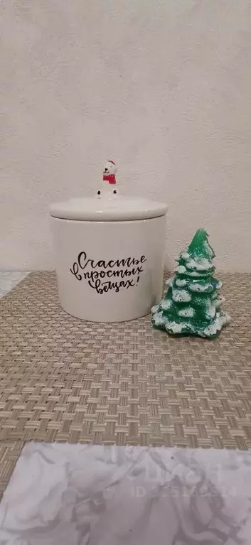 2-к кв. Санкт-Петербург ул. Турку, 31 (45.0 м) - Фото 1