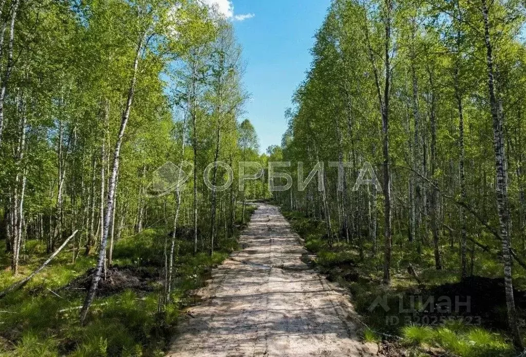 Участок в Тюменская область, Нижнетавдинский район, с. Тюнево  (9.0 ... - Фото 0