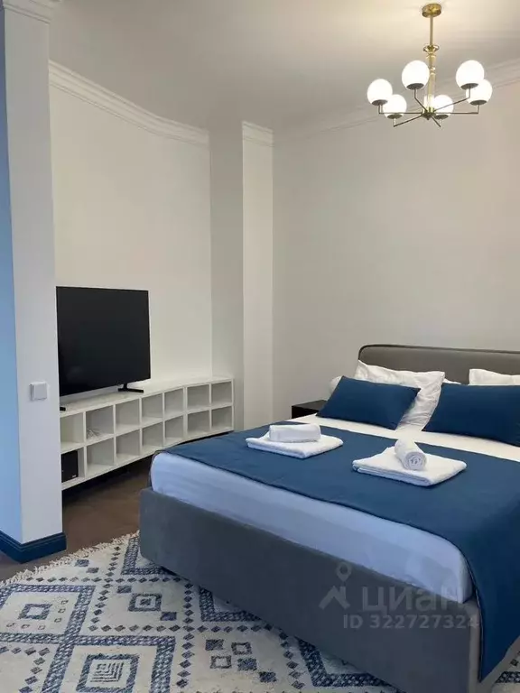 Студия Краснодарский край, Сочи Лазаревское жилрайон, ул. Речная, 2 ... - Фото 2