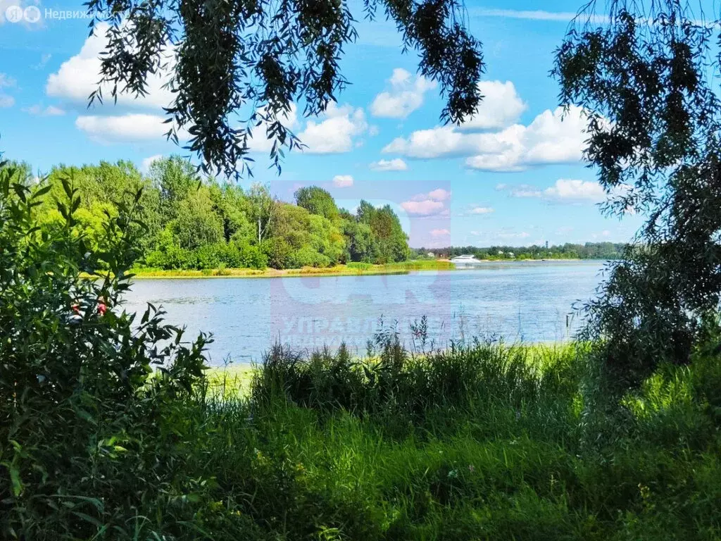 Участок в Ярославль, Тропинская улица, 8 (6.5 м) - Фото 1