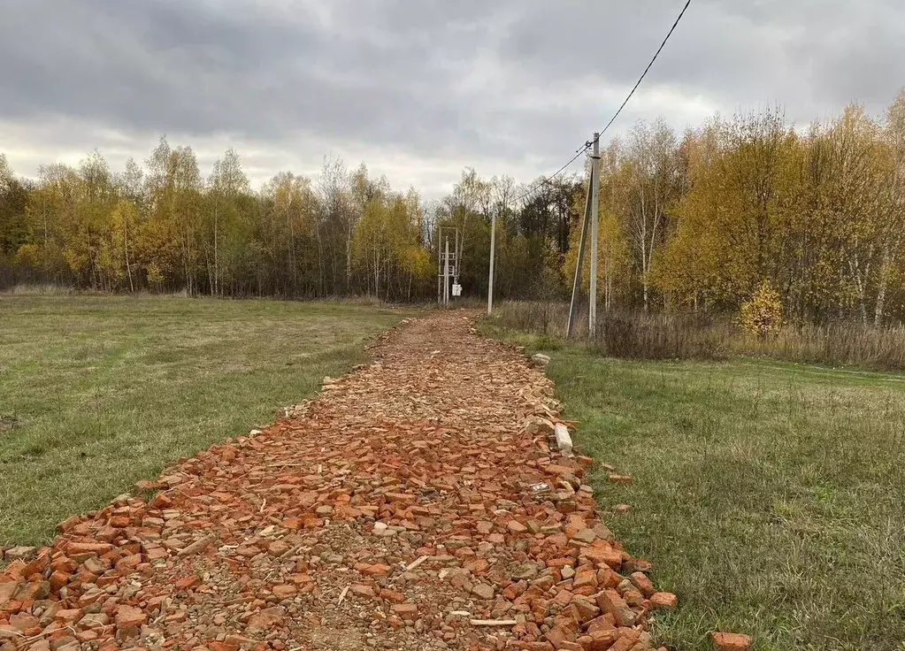 Участок в Московская область, Егорьевск муниципальный округ, д. Левино ... - Фото 2