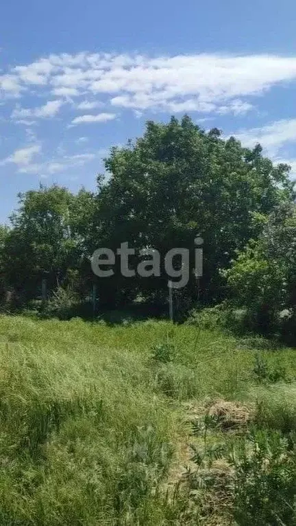 Участок в Ростовская область, Родионово-Несветайский район, ... - Фото 0