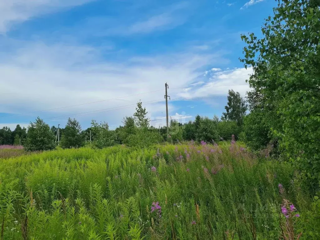 Участок в Калужская область, Калуга городской округ, д. Груздово  ... - Фото 1