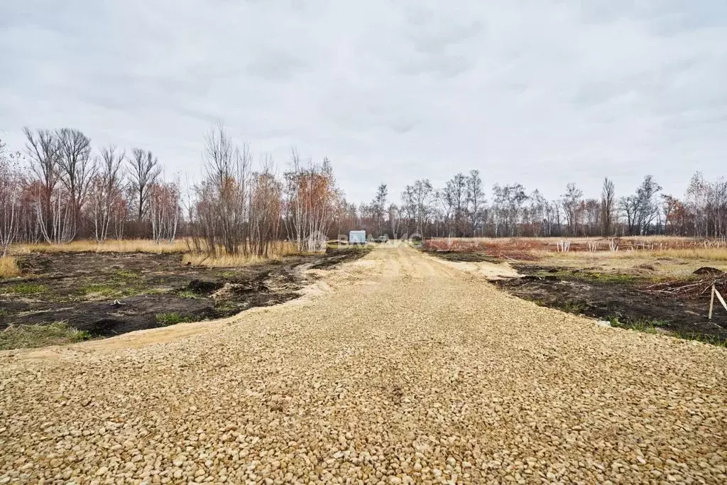 Участок в Воронежская область, Воронеж ул. Совхозная, 41 (5.0 сот.) - Фото 0