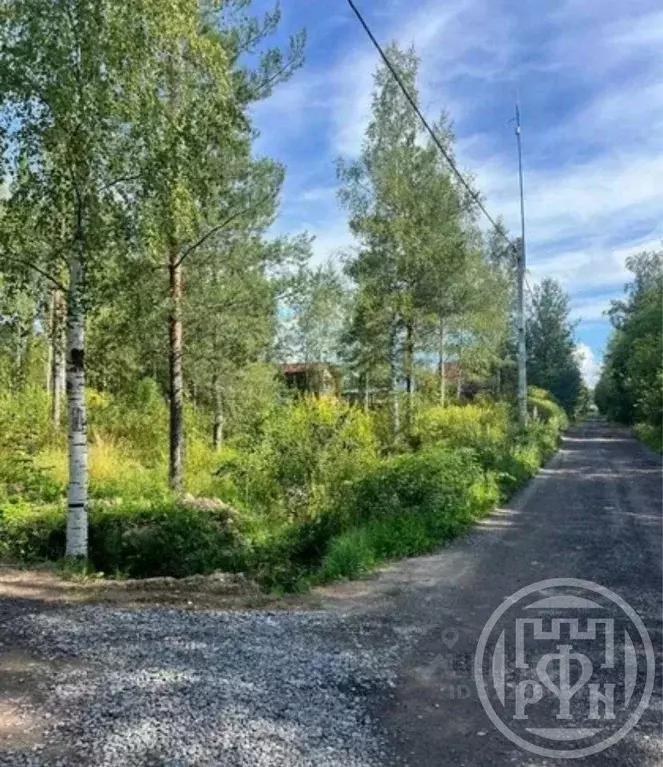 Участок в Ленинградская область, Ломоносовский район, Пениковское ... - Фото 0