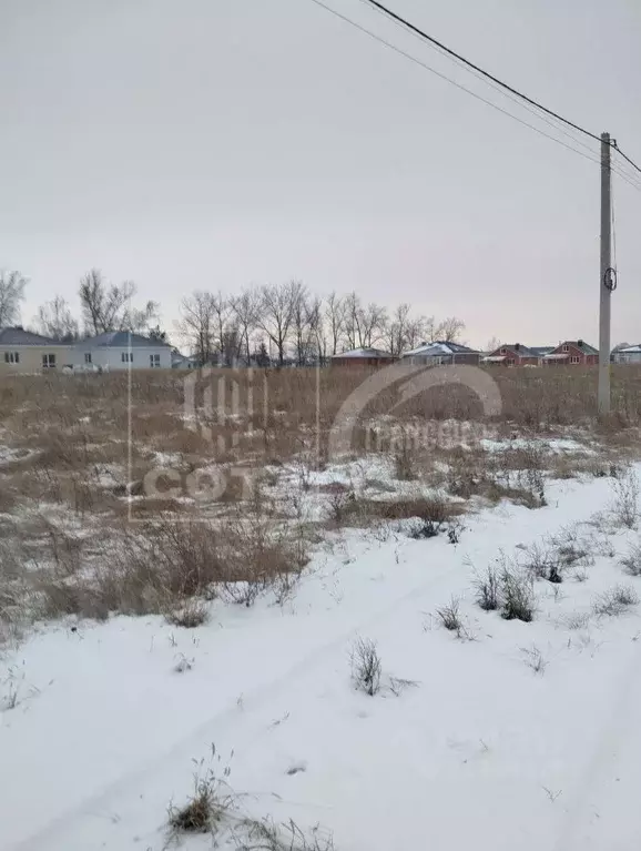 Участок в Воронежская область, Новоусманский район, с. Орлово ул. ... - Фото 1