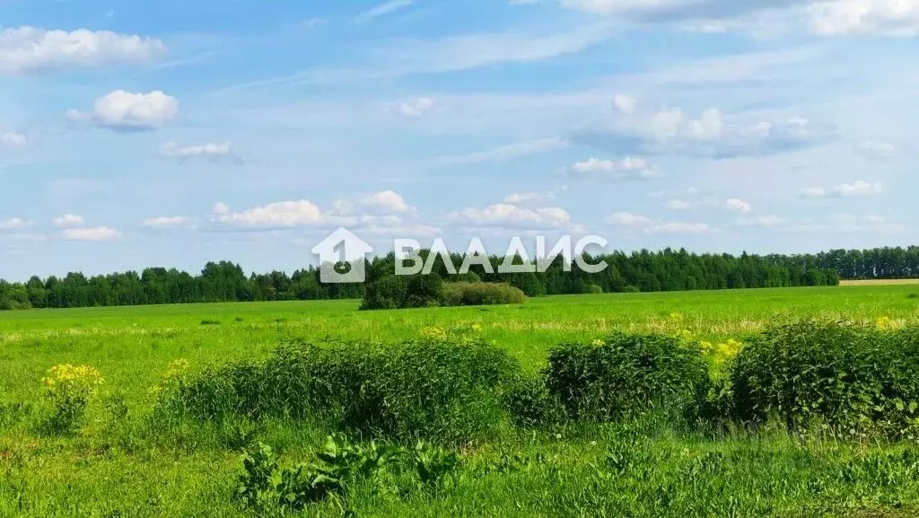 Участок в Владимирская область, Суздальский район, Селецкое ... - Фото 0